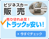 自動車保険